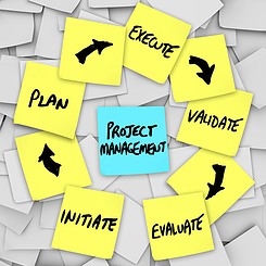 project management