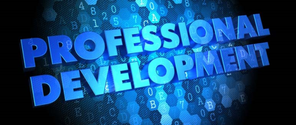 The Building Blocks of Professional Development (And Why You Should Care)