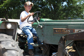 Youth in Agriculture
