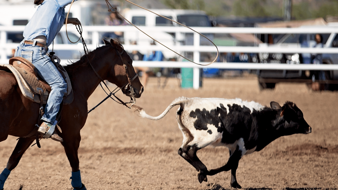 Calf-Roping