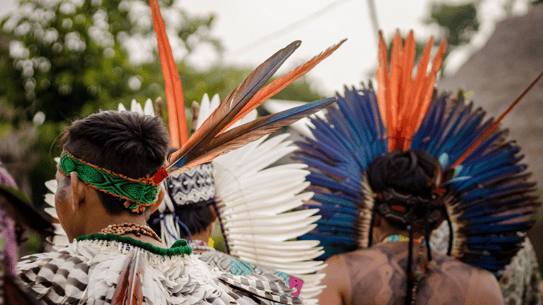 Indigenous people