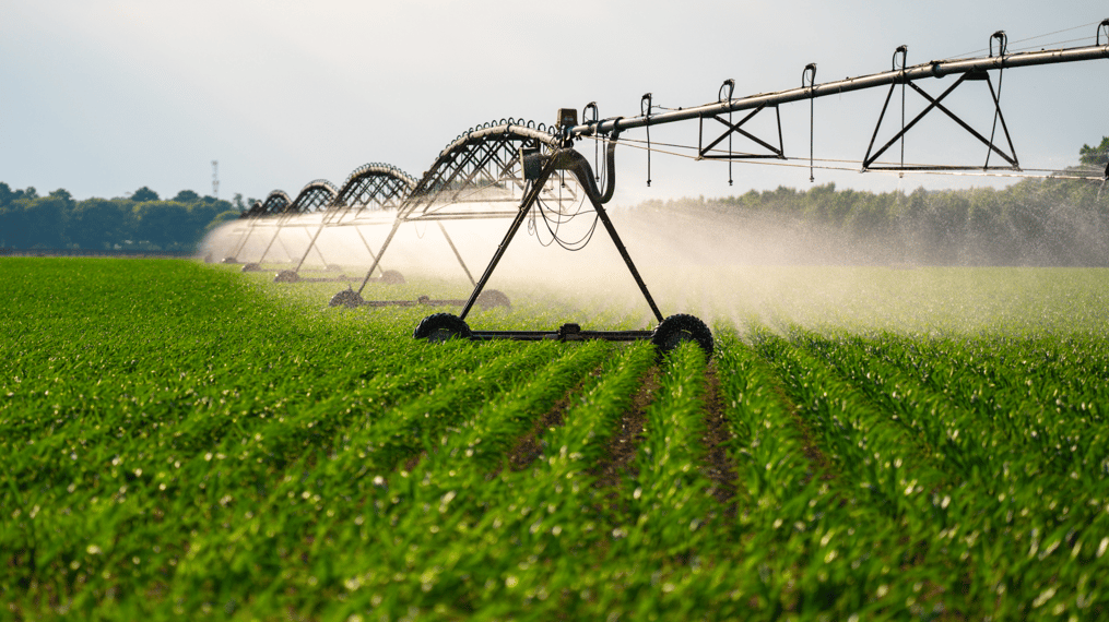 Irrigation