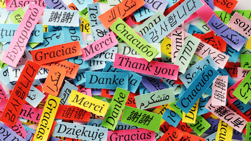 Language