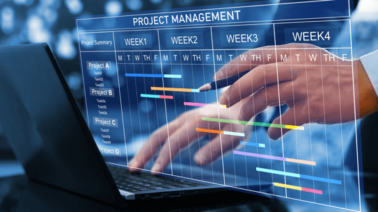 Project_Management