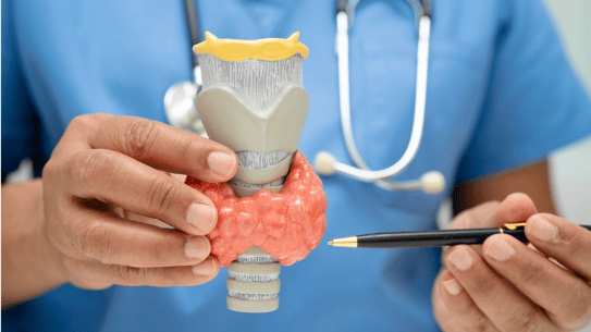 Thyroid