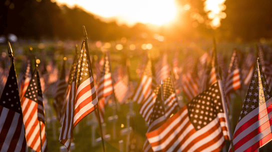 Veterans
