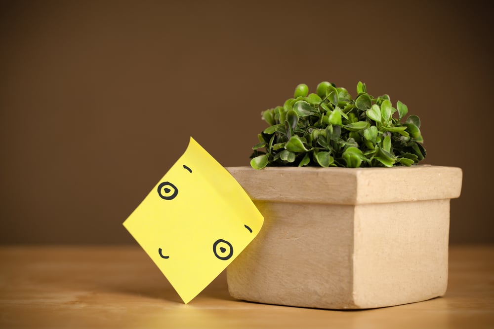 Drawn smiley face on a post-it note sticked on a flowerpot
