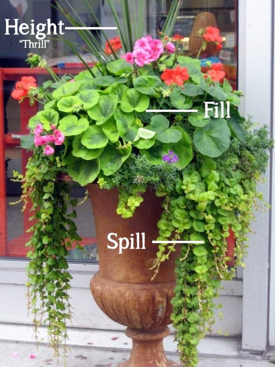 Height-Spill-Fill-Container-Gardening.jpg