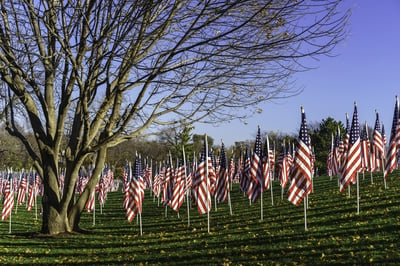 Display of many American flags for observation of Veterans Day, with long parallel shadows and bare tree in public park on early November morning