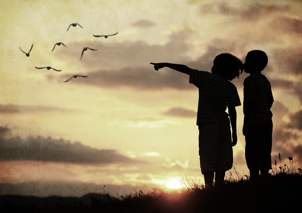 Kids silhouette looking at birds on the sky in air