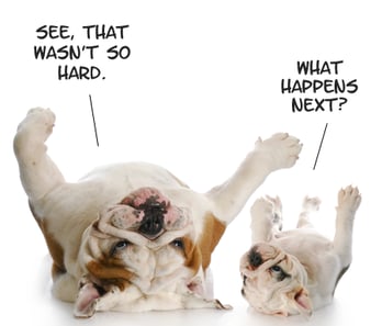 personal experience