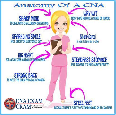 cna skills